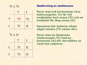 Hilde16