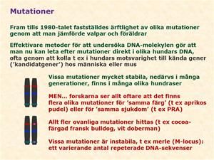 Hilde5