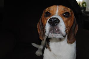 DSC_0012 DSC_0012