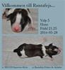 5 valp
