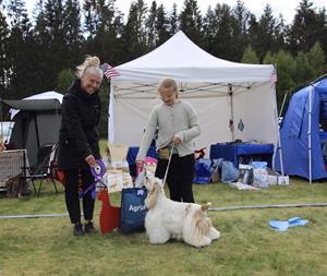 Barn med hund