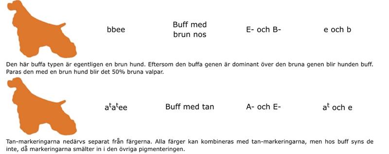 3 färggen 3 färggen