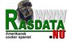 rasdatalogga rasdatalogga