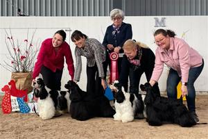 BIS uppfödargrupp Kennel Caci's