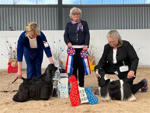 Best In Show Ch. Troupers Real Cool uppf/Äg: Annica Klinvall