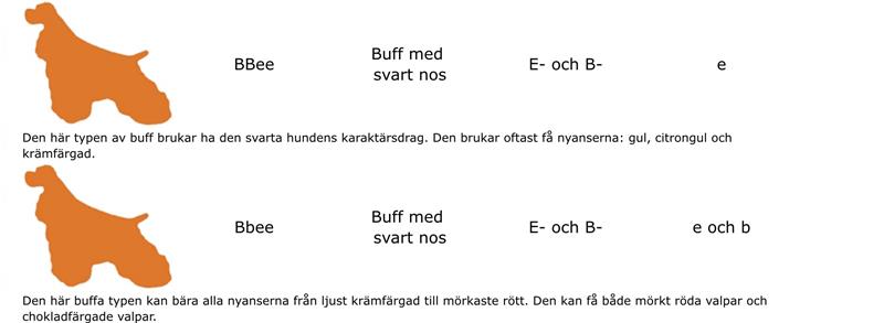 rätt färgbild buffa rätt färgbild buffa