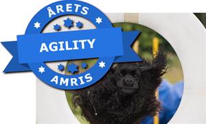 ÅA_Puff_Agility