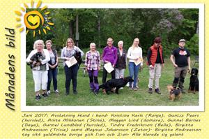 Månadens bild - Juni 2017 - Avslutning Hund i hand