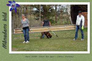 Månadens bild - April 2018 - Snart dax igen...