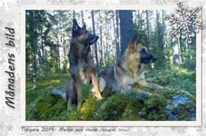 Månadens bild - tidigare - Menja & Hella