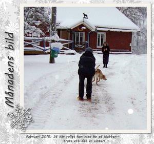 Månadens bild - Februari 2018 - Så här roligt kan man ha på klubben... trots att det är vinter!