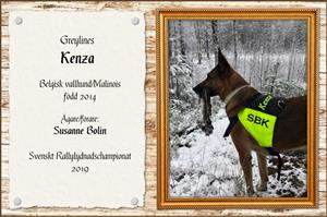Greylines Kenza