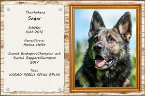 Thunhukenz Seger