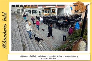Oktober 2020