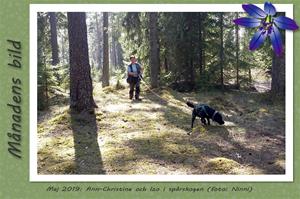 Månadens bild - Maj 2019 - Ann-Christine och Izo i spårskogen.