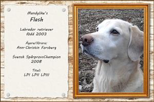 Mandylike's Flash