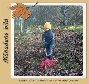 Månadens bild - Oktober 2019 - Städbestyr i Skoga