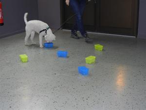 DSCN3751 DSCN3751