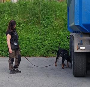 nosework ute nosework ute