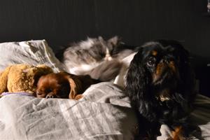 DSC_0020 DSC_0020