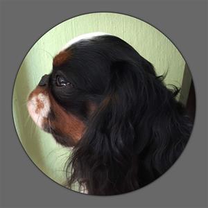IMG_1358 IMG_1358