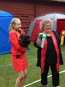 IMG_0886 IMG_0886