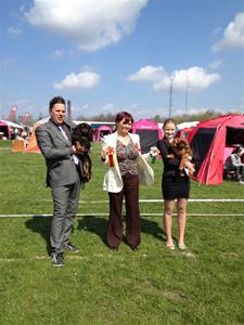 IMG_3627 IMG_3627
