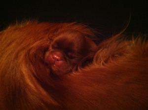 IMG_6377[1]