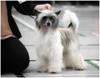 IMG_20200217_101526_945-01