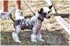 IMG_20210817_150957_146-01