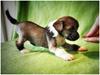 IMG_20210426_164418_915-01