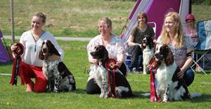 IMG_3629 IMG_3629
