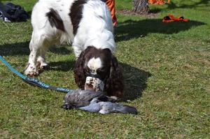 IMG_3405 IMG_3405