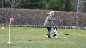 IMG_3350 IMG_3350