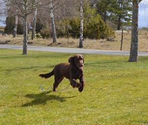 IMG_3323 IMG_3323