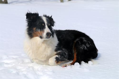 IMG_1856 IMG_1856