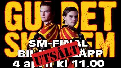 Brynäs Brynäs