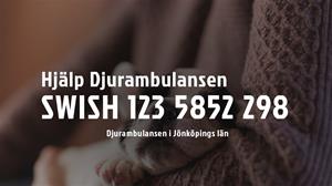 Djueambulansen Djueambulansen