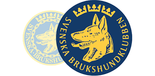 SBK SBK