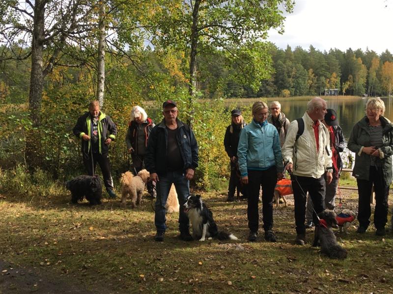 Hundpromenad 1