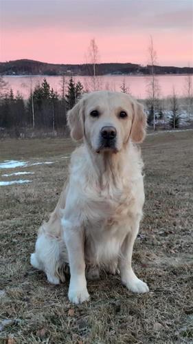 Casper GRK m.v.g 2019 Casper GRK m.v.g 2019