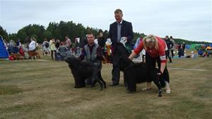 oggybobvallentuna11