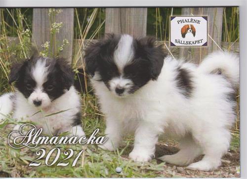 Almanacka 2021 002 Almanacka 2021 002
