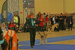 2011-11-27--malma2