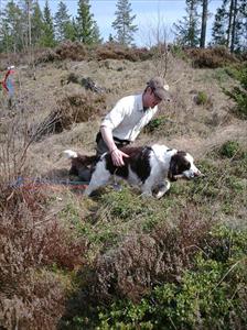 Vilken stolt husse