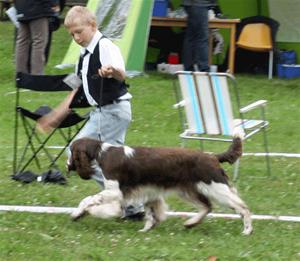 Juniorhandler 3