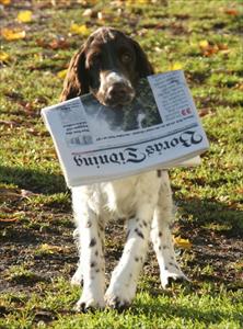 Vårt nya tidningsbud