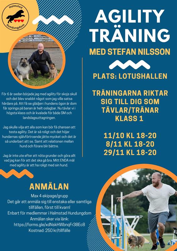 Agilityträning Stefan_HHU
