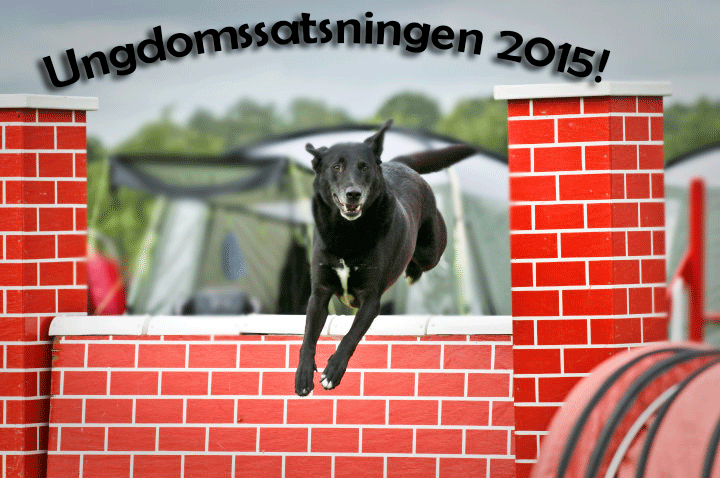 Ungdomssatsningen Ungdomssatsningen