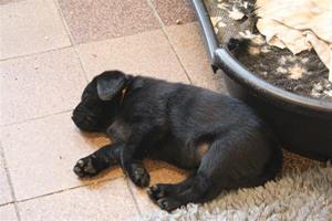 IMG_6737 IMG_6737